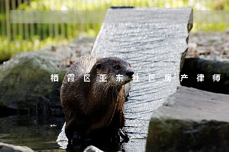 栖霞区亚东社区房产律师 栖霞区亚东社区房产律师