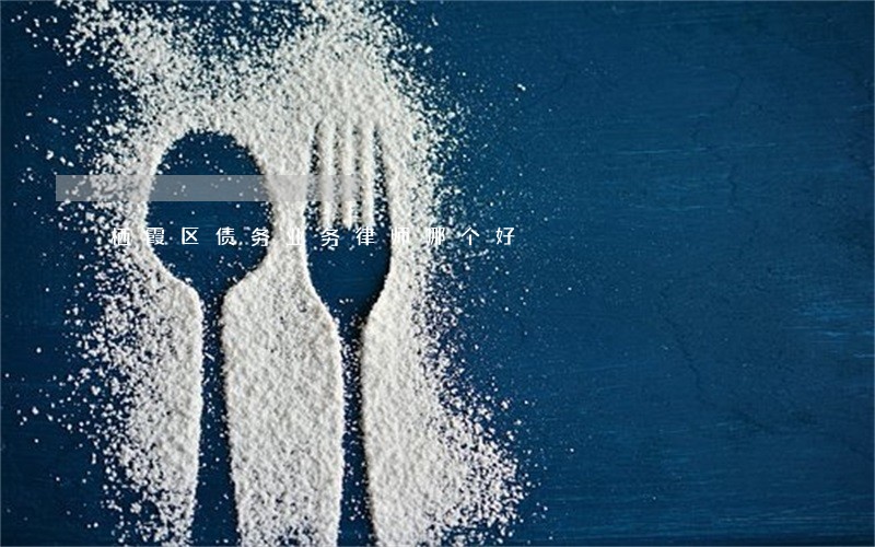 栖霞区债务业务律师哪个好 栖霞区债务业务律师哪个好