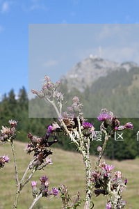 栖霞区债务律师事务所在线咨询 栖霞区债务律师事务所在线咨询