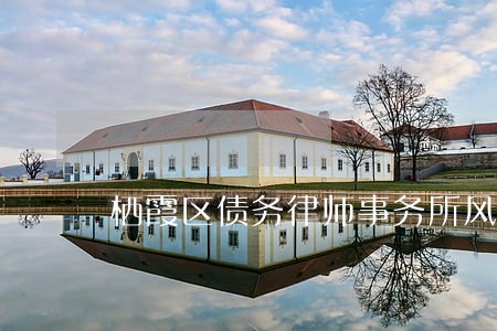 栖霞区债务律师事务所风险代理 栖霞区债务律师事务所风险代理
