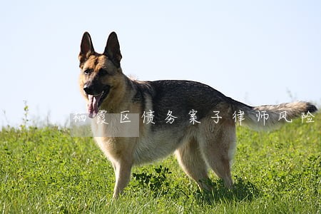 栖霞区债务案子律师风险代理 栖霞区债务案子律师风险代理