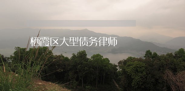 栖霞区大型债务律师