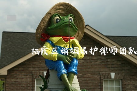 栖霞区婚姻保护律师团队 栖霞区婚姻保护律师团队