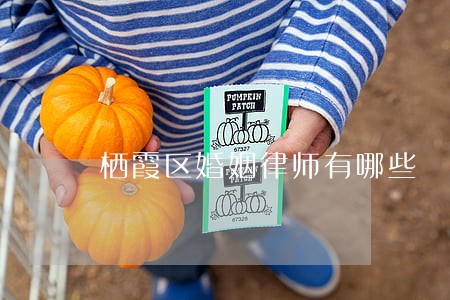 栖霞区婚姻律师有哪些 栖霞区婚姻律师有哪些