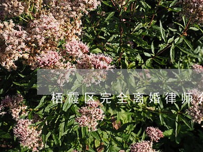 栖霞区完全离婚律师介绍 栖霞区完全离婚律师介绍