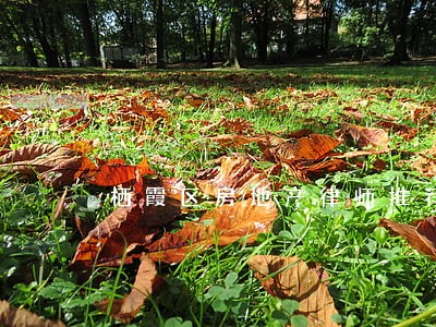 栖霞区房地产律师推荐 栖霞区房地产律师推荐