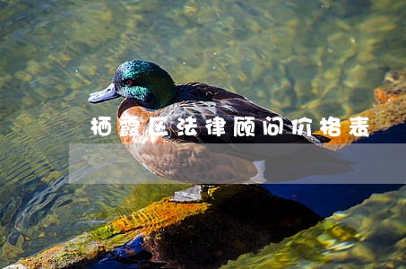 栖霞区法律顾问价格表 栖霞区法律顾问价格表