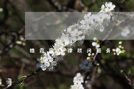 栖霞区法律顾问服务费 栖霞区法律顾问服务费