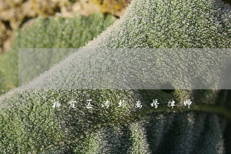 栖霞区涉外离婚律师