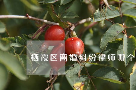 栖霞区离婚纠纷律师哪个比较好 栖霞区离婚纠纷律师哪个比较好