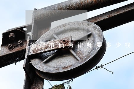 栖霞市债务律师要多少钱 栖霞市债务律师要多少钱