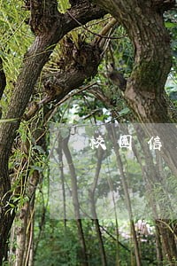 校园信用卡逾期多久会上征信 校园信用卡逾期多久会上征信
