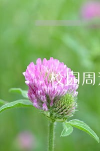 校园周边环境整治法规 校园周边环境整治法规
