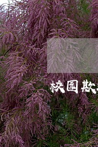 校园欺凌事件法律咨询 校园欺凌事件法律咨询