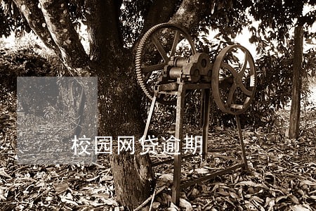 校园网贷逾期 校园网贷逾期