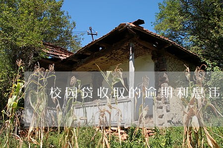 校园贷收取的逾期利息违约金