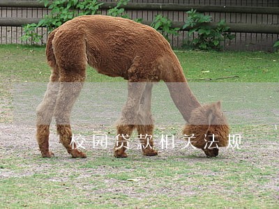 校园贷款相关法规 校园贷款相关法规