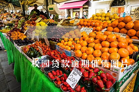校园贷款逾期催债图片 校园贷款逾期催债图片