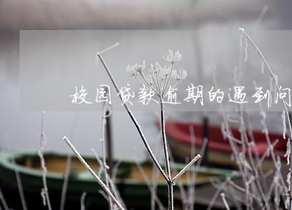 校园贷款逾期的遇到问题 校园贷款逾期的遇到问题