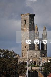 校园贷被判只还本金 校园贷被判只还本金