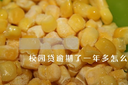 校园贷逾期了一年多怎么弄 校园贷逾期了一年多怎么弄