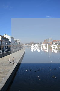 校园贷逾期会上征信吗 校园贷逾期会上征信吗