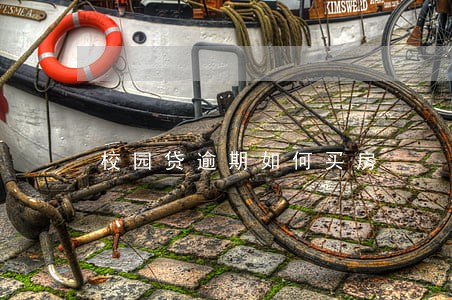 校园贷逾期如何买房