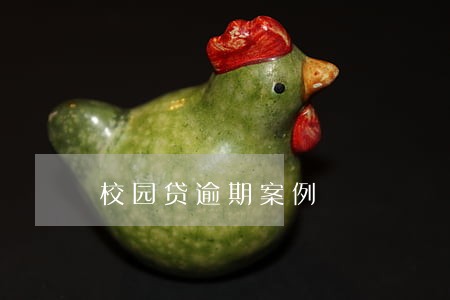 校园贷逾期案例 校园贷逾期案例