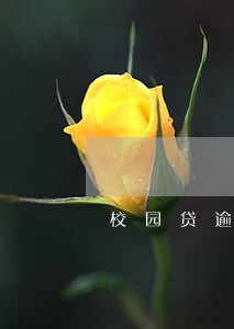 校园贷逾期派出所立案 校园贷逾期派出所立案