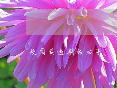 校园贷逾期的后果 校园贷逾期的后果