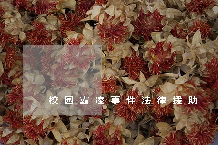 校园霸凌事件法律援助 校园霸凌事件法律援助