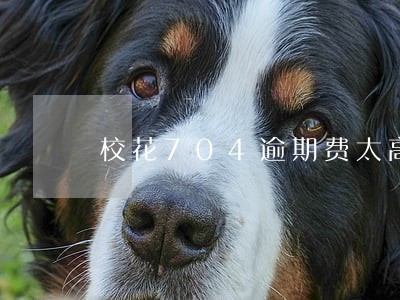 校花704逾期费太高 校花704逾期费太高