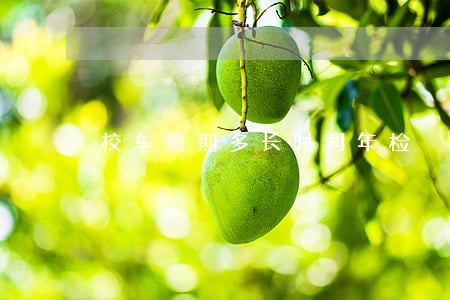 校车逾期多长时间年检 校车逾期多长时间年检