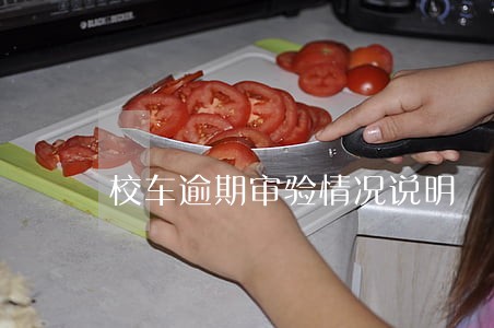 校车逾期审验情况说明 校车逾期审验情况说明