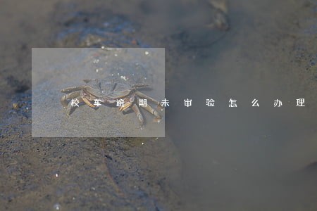校车逾期未审验怎么办理 校车逾期未审验怎么办理