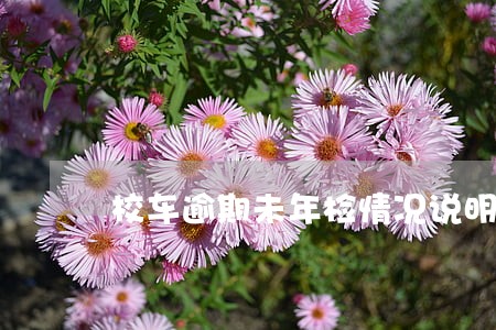 校车逾期未年检情况说明书 校车逾期未年检情况说明书