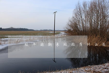 校车逾期未检验有什么处罚规定 校车逾期未检验有什么处罚规定