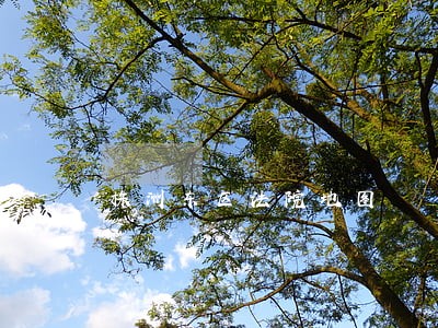 株洲东区法院地图 株洲东区法院地图