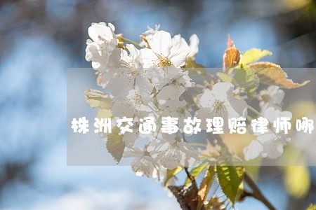 株洲交通事故理赔律师哪里找 株洲交通事故理赔律师哪里找
