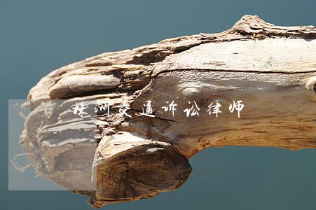 株洲交通诉讼律师 株洲交通诉讼律师