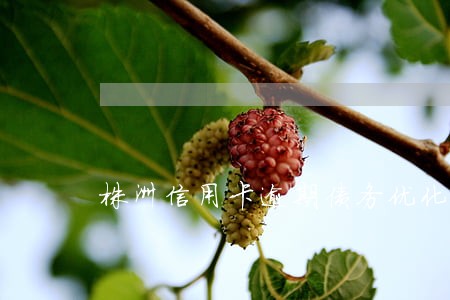 株洲信用卡逾期债务优化怎么收费 株洲信用卡逾期债务优化怎么收费