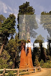 株洲信用卡逾期还不起怎么办