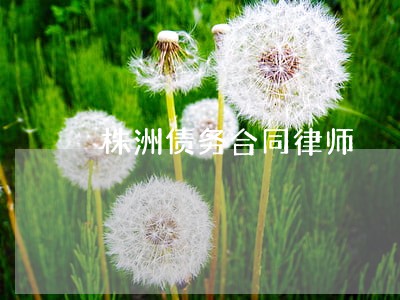 株洲债务合同律师 株洲债务合同律师