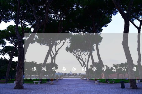 株洲债务合同律师怎么委托 株洲债务合同律师怎么委托