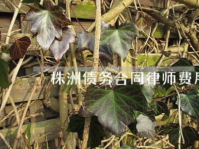 株洲债务合同律师费用多少 株洲债务合同律师费用多少