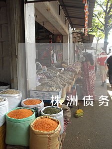 株洲债务律师电话