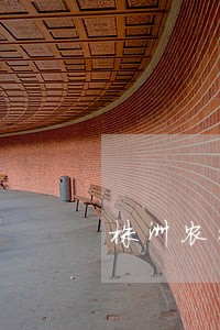株洲农行自行车卡逾期 株洲农行自行车卡逾期