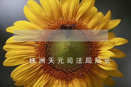 株洲天元司法局局长 株洲天元司法局局长