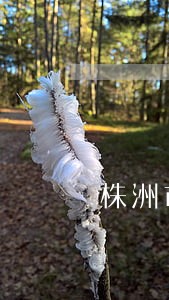 株洲市债务合同律师价格 株洲市债务合同律师价格