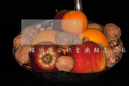 株洲市公积金逾期怎么处理
